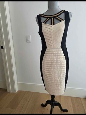 Sangria Black, Cream, Gold Sleeveless Dress Beautiful Champagne Color